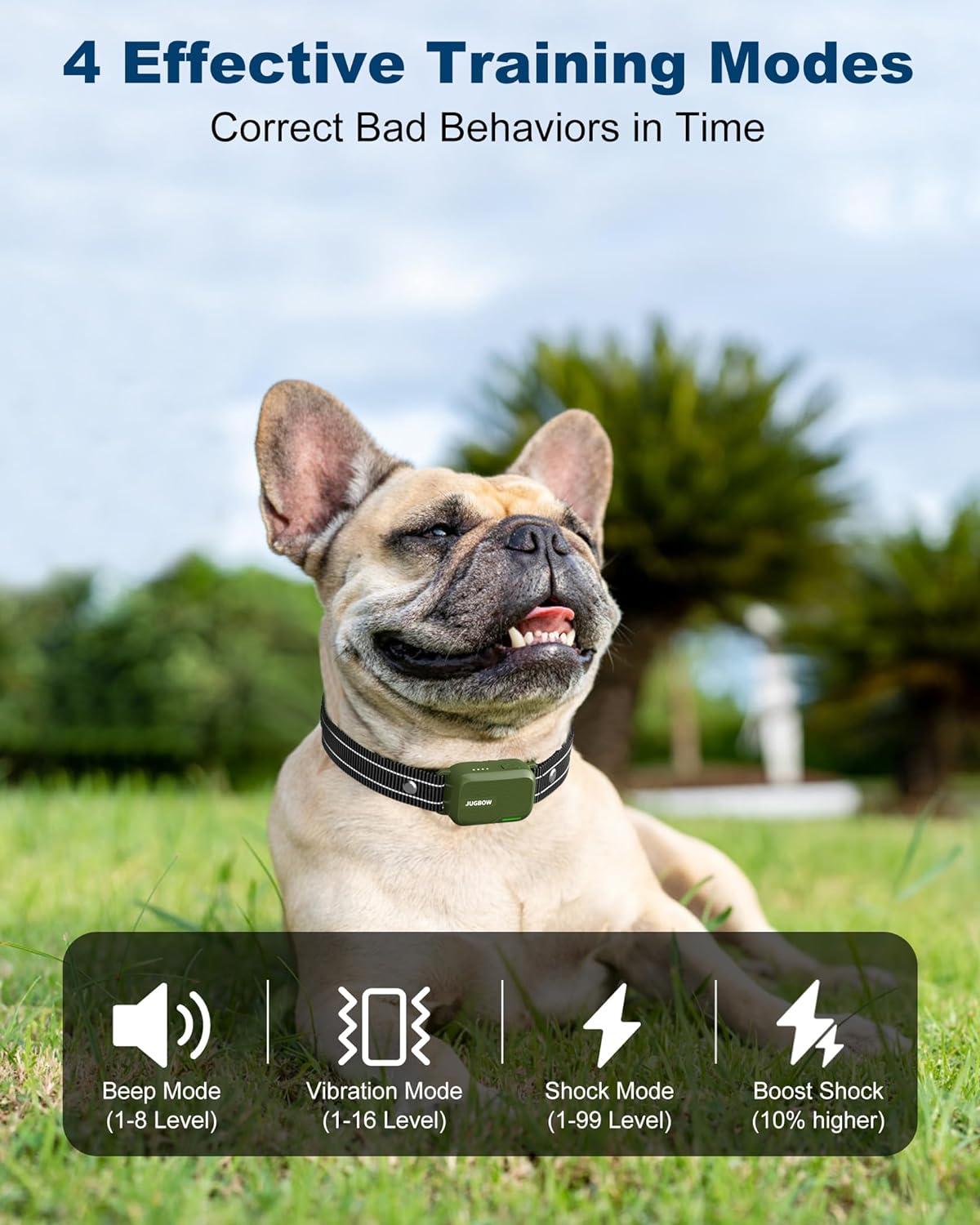 Organix™ - Collar de adiestramiento para perros