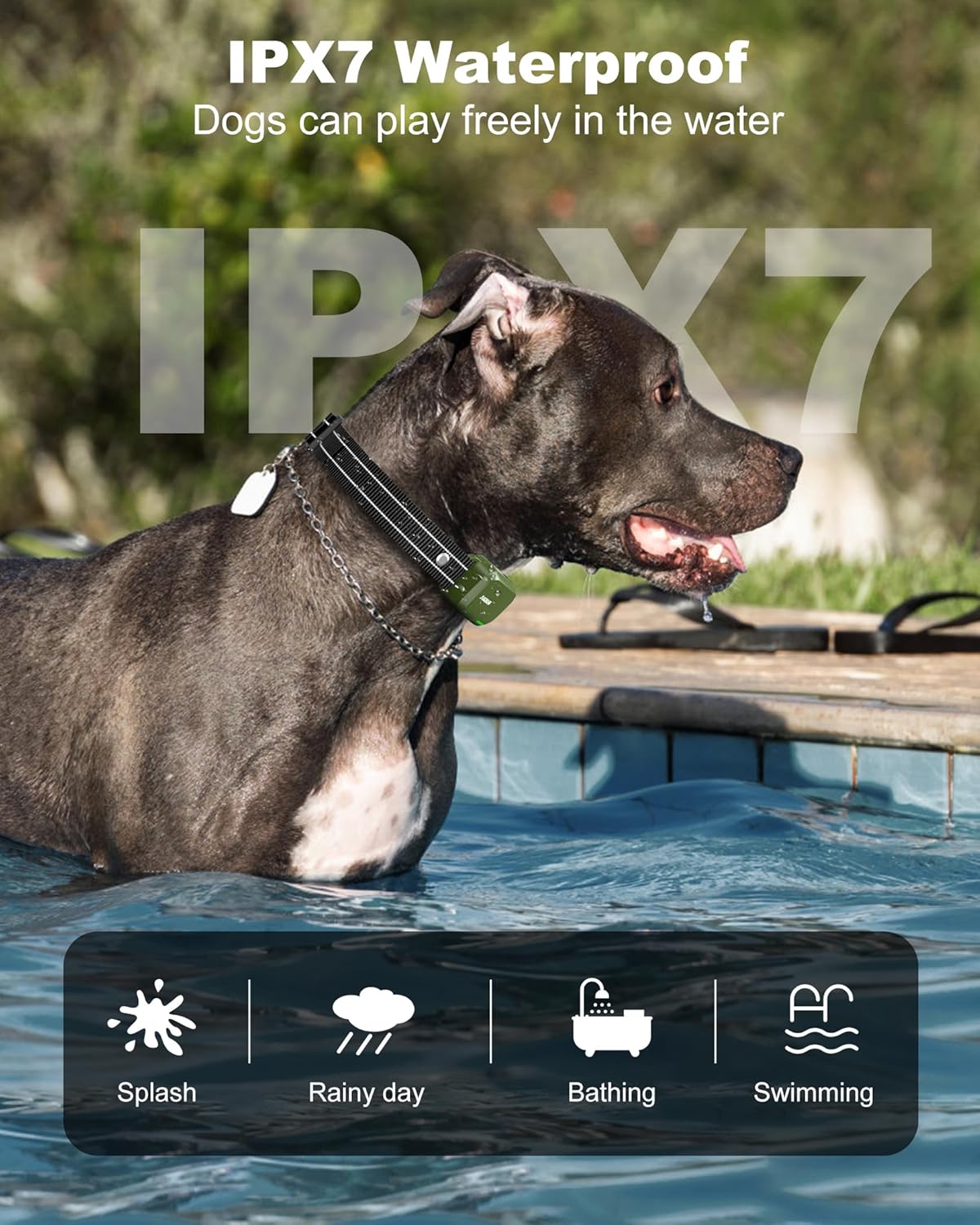 Organix™ - Collar de adiestramiento para perros